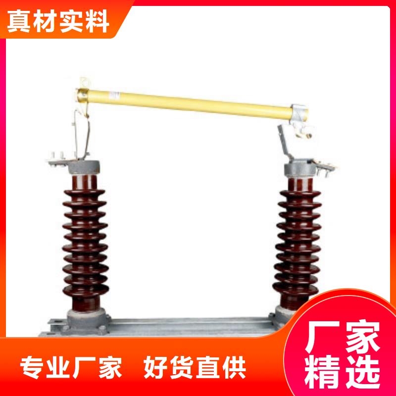 HRW5-35/100A高壓熔斷器樊高