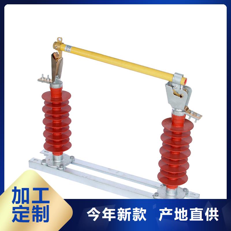 XRNP-12KV/0.2A熔管