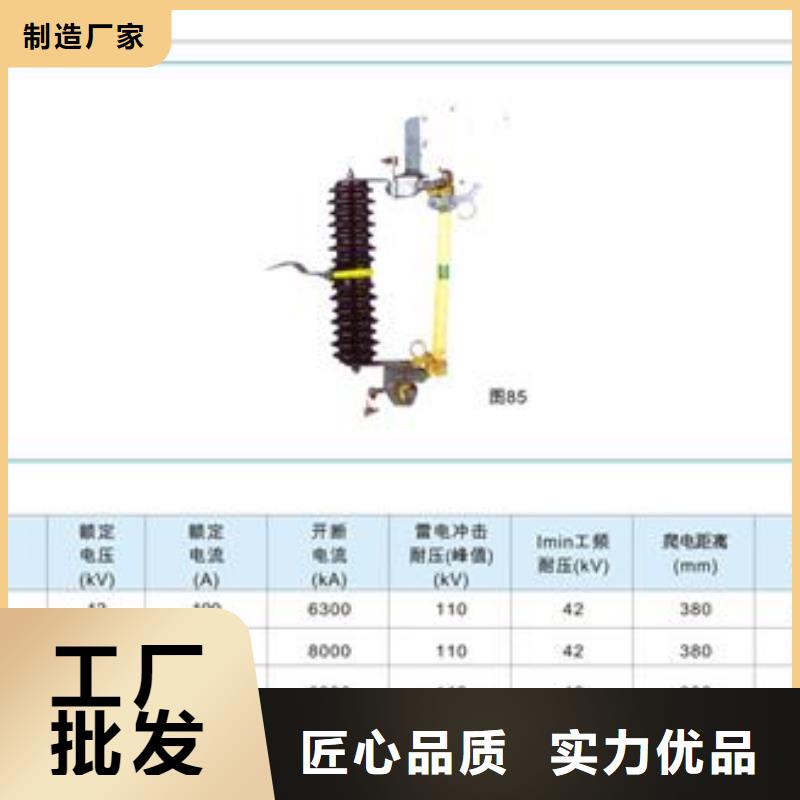 HRW10-10/200A高压熔断器樊高