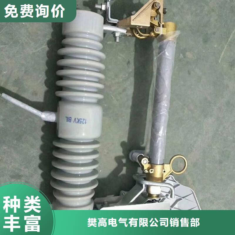 XRNP-10kv/0.5A高压限流熔断器