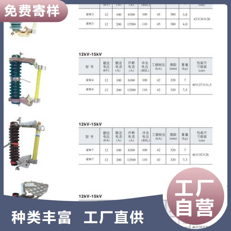 XRNP-12KV/0.2A熔管