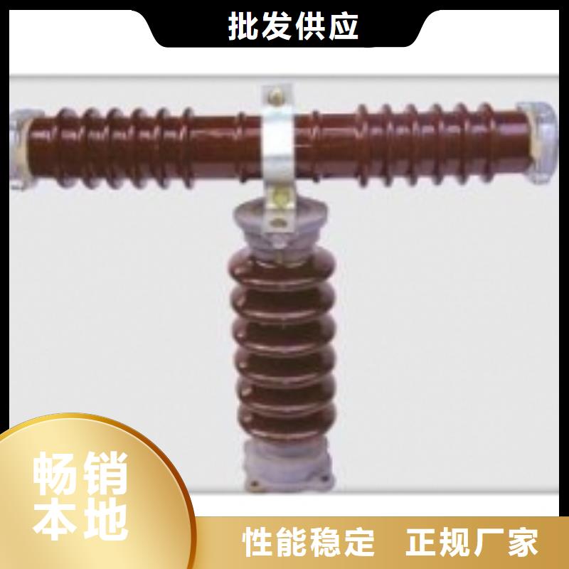 XRNP-12KV/0.2A熔管