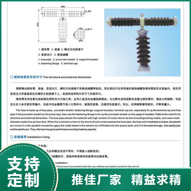 PD3-10/200A出口型跌落保險