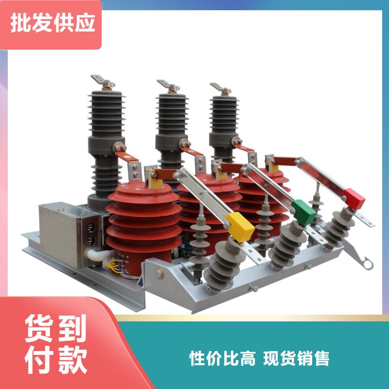 SN10-10/3000-40六氟化硫断路器