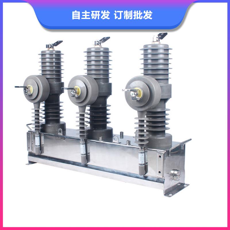 ZW43-12G/T630-12.5戶外柱上真空斷路器