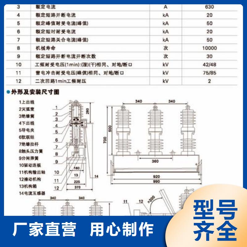 真空断路器跌落式熔断器厂规格型号全