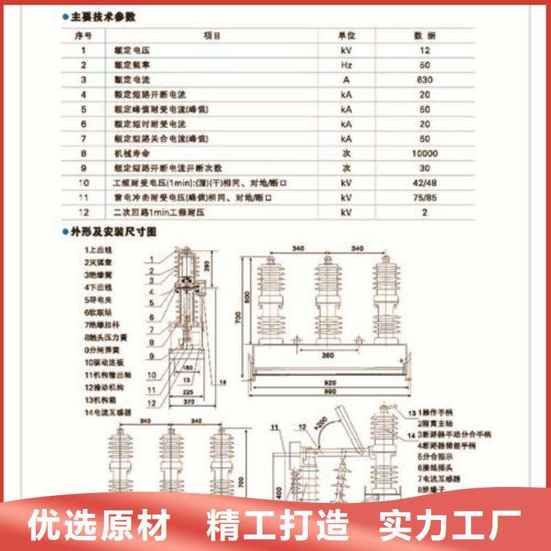 LW3-12ⅡG/630-20高壓斷路器樊高