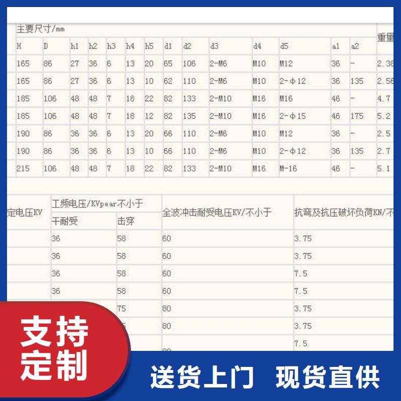 FPQ4-10/4L20绝缘子樊高