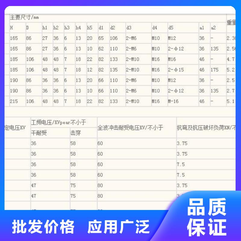 ZSW2-10/16-3陶瓷絕緣子