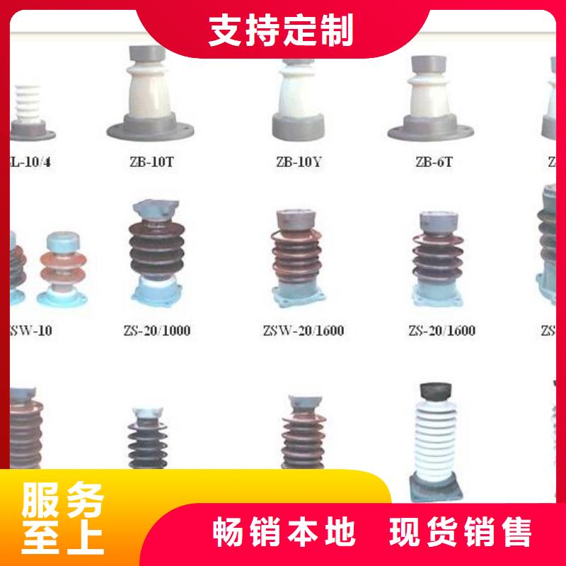 絕緣子【氧化鋅避雷器】實力才是硬道理