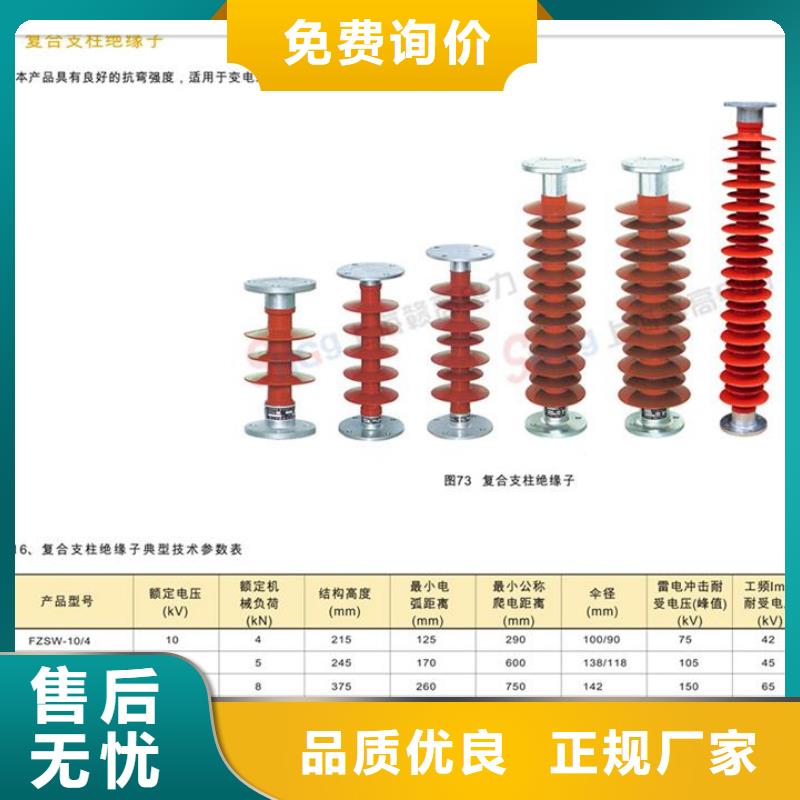 FZSW4-126/16复合绝缘子樊高