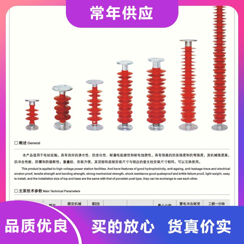 絕緣子【氧化鋅避雷器】實力才是硬道理