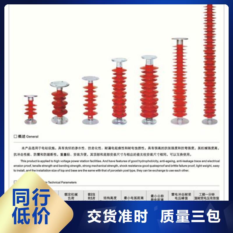 FZSW-110/8復(fù)合支柱絕緣子