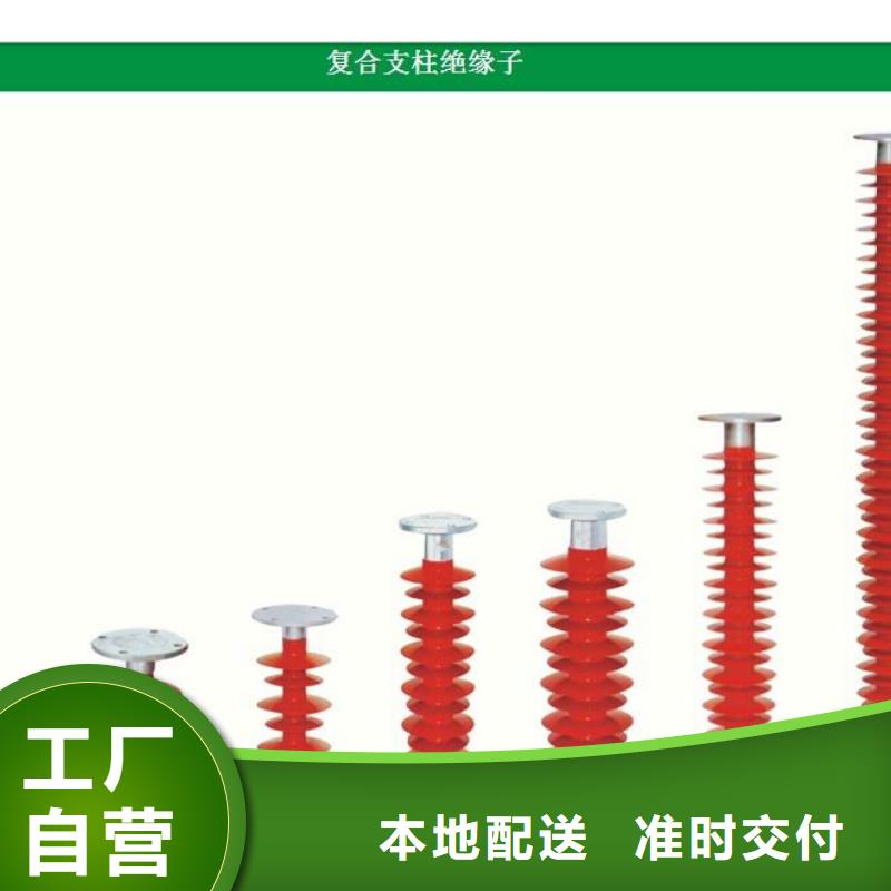 ZS2-20/3000高压绝缘子