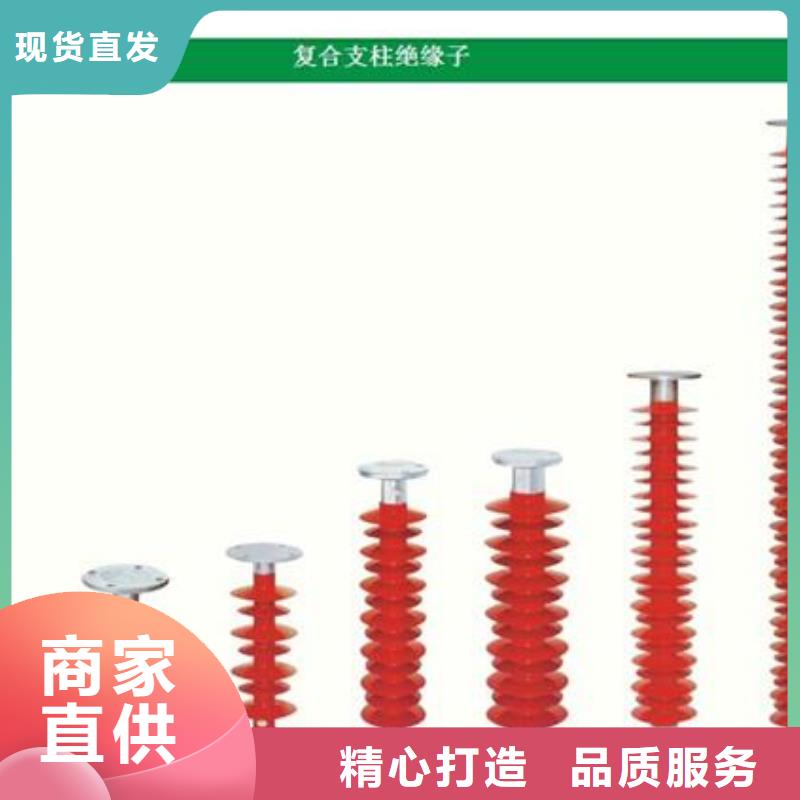 ZJ3-24Q/110*210高压绝缘子