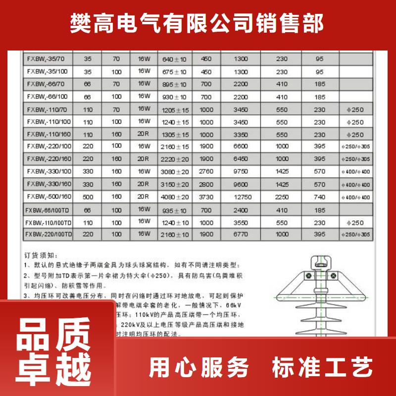 ZS-63/4陶瓷绝缘子樊高电气