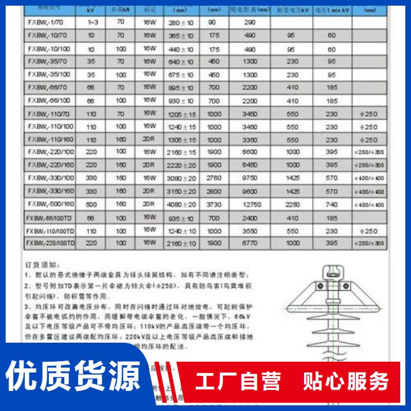 FPQ4-10/4L20绝缘子樊高