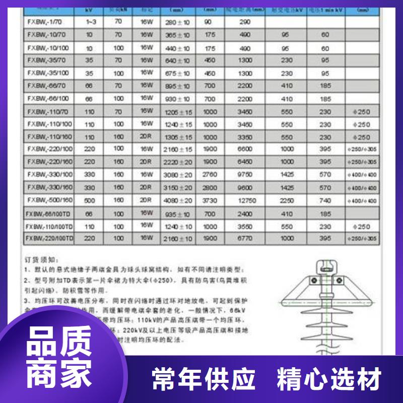 FZSW-110/8復(fù)合支柱絕緣子