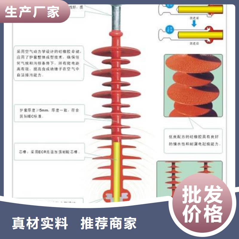 FS4-66/8复合绝缘子樊高