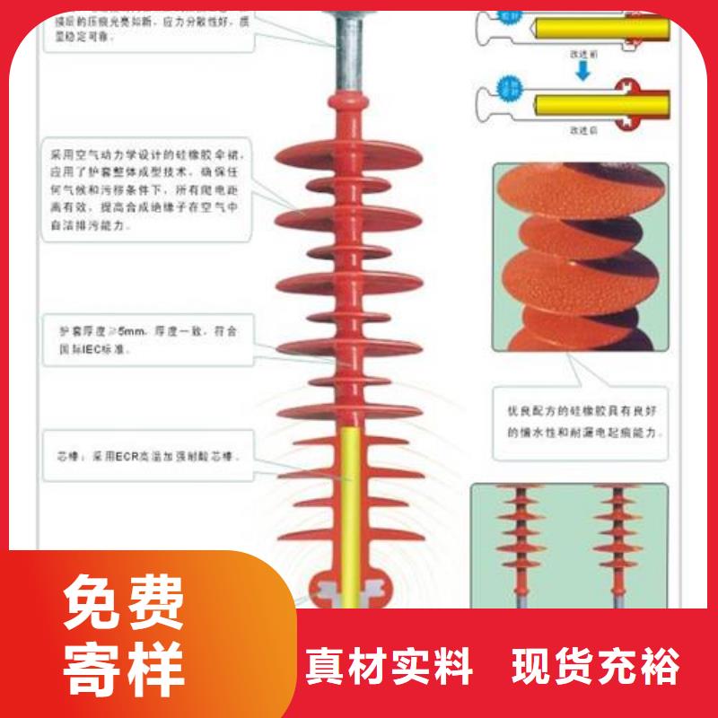 ZSW-24/16陶瓷绝缘子樊高电气