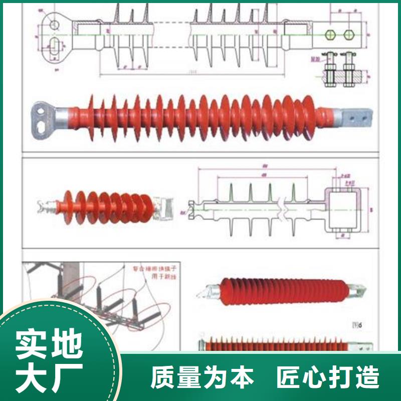 FZSW4-252/8高压硅胶绝缘子