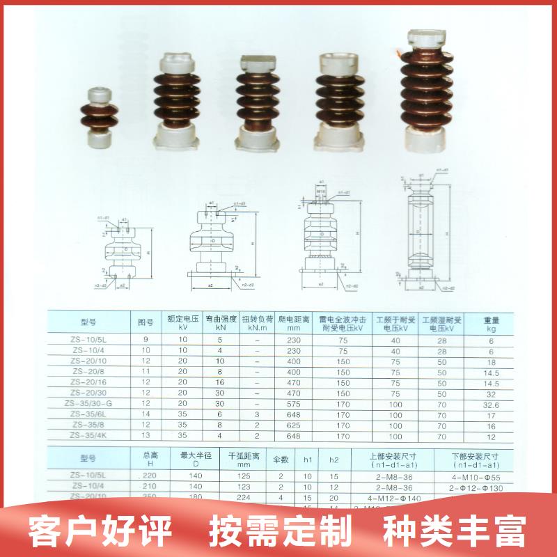 ZJ-35Q/145*380高壓環氧樹脂絕緣子