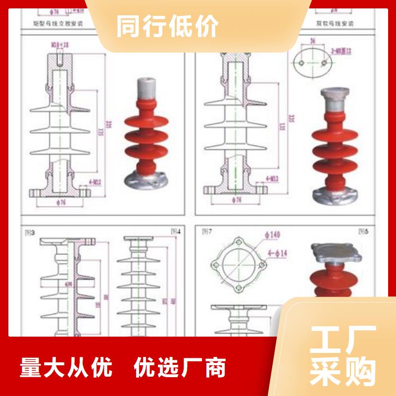 ZJ-10KV/65*140高压环氧树脂绝缘子