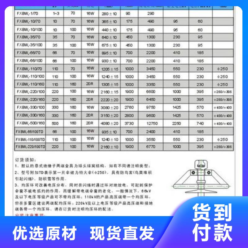 FZSW-220/10高压复合支柱绝缘子