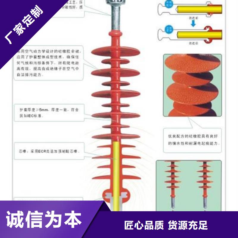 FZSW3-110/16高壓硅膠絕緣子
