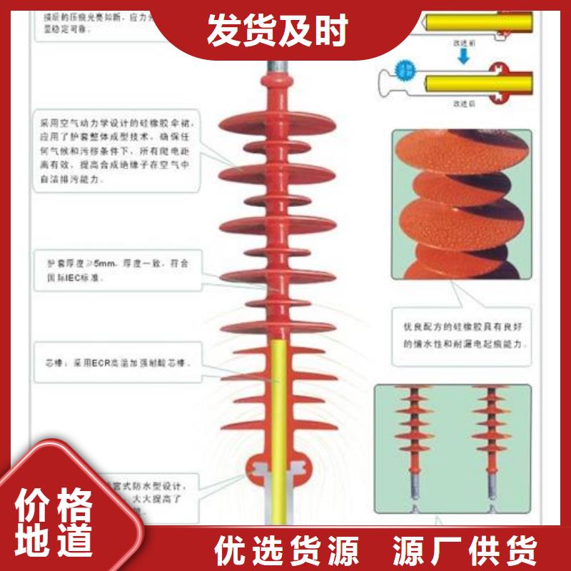 FZSW-12/4復(fù)合高壓絕緣子