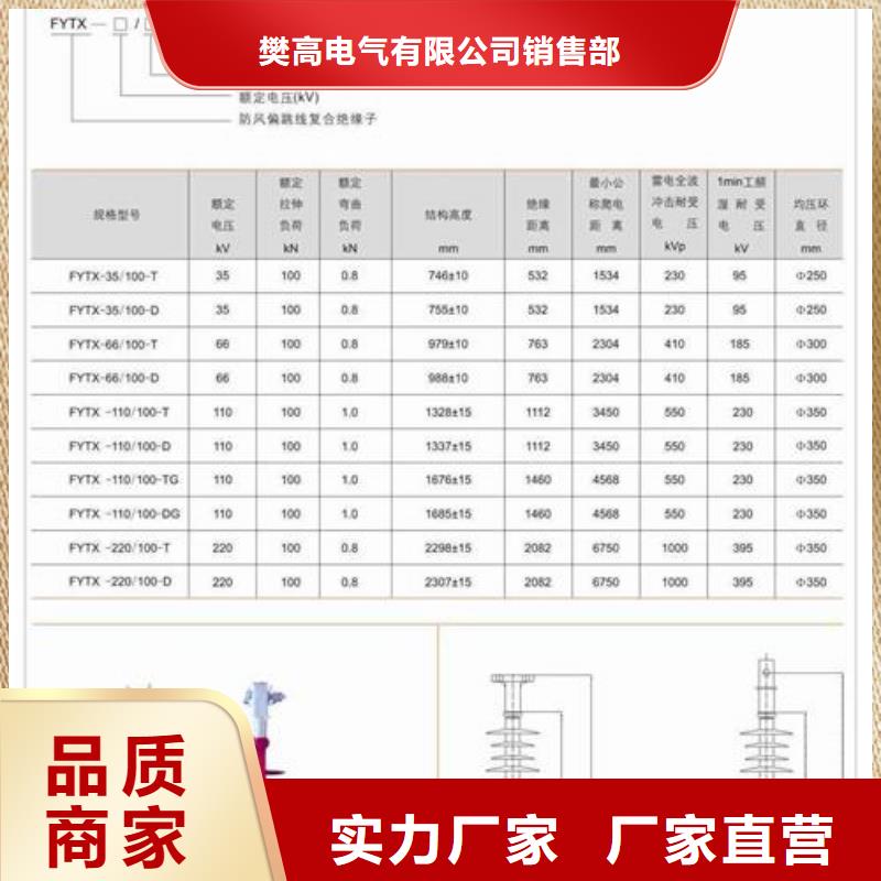 ZS-63/4陶瓷绝缘子樊高电气