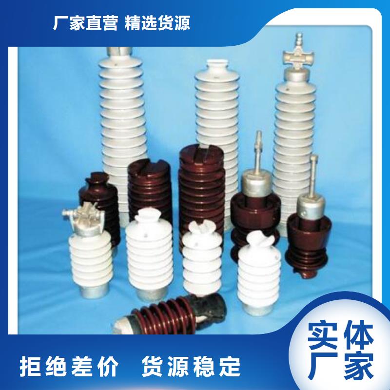 絕緣子氧化鋅避雷器供應支持定制