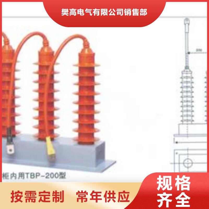 TBP-A-12.7F/131串联间隙过电压保护器