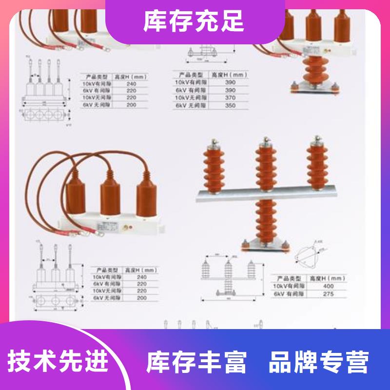 TBP-A-12.7F/131串联间隙过电压保护器