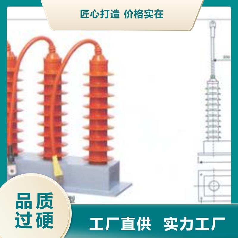 TBP-A-42F/310组合式避雷器