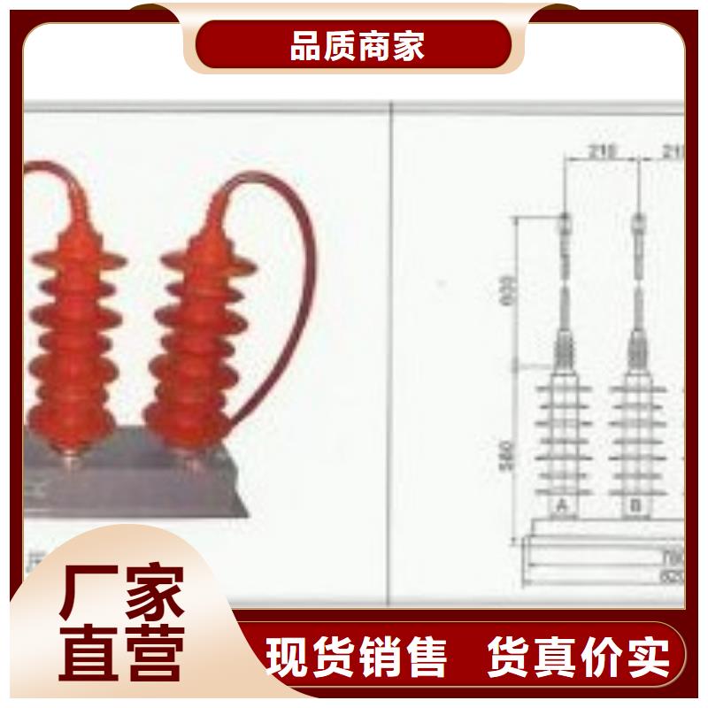 TBP-C-7.6/131过电压保护器