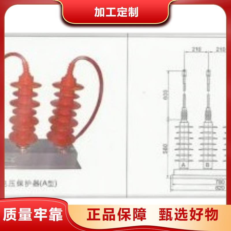 YH5CZ-51/116X2組合式避雷器