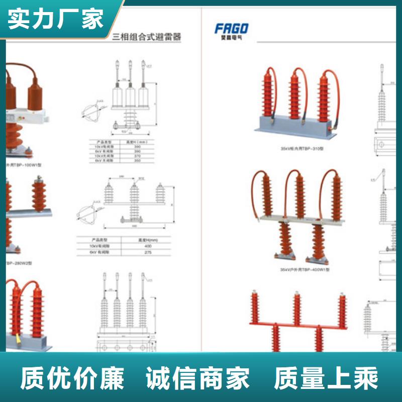 BSTG-B-12.7/600组合式保护器