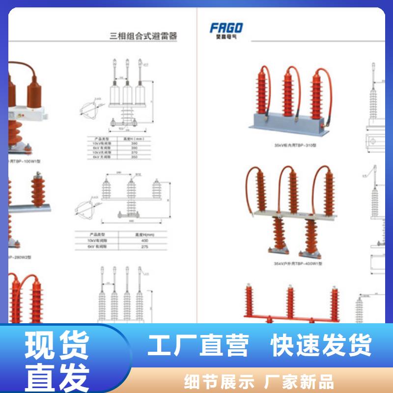 YH5CZ-51/116X2組合式避雷器