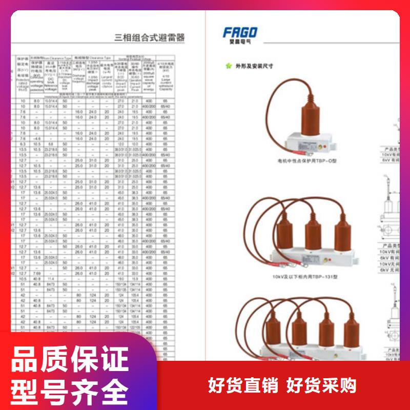 TBP-C-42F/400W三相组合式避雷器