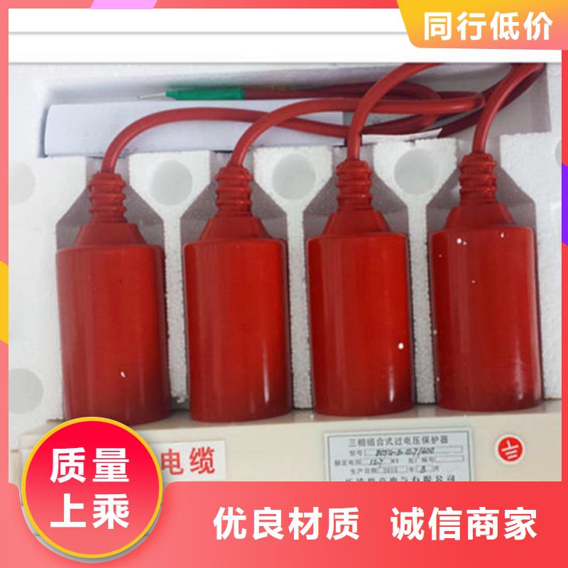 TBP-C-42F/200組合式避雷器