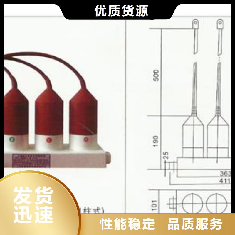 TBP-A-12.7F/131串聯間隙過電壓保護器