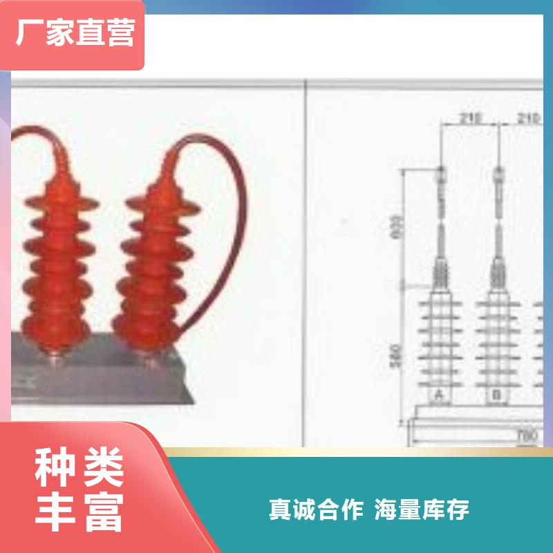 BSTG-B-12.7/600组合式保护器