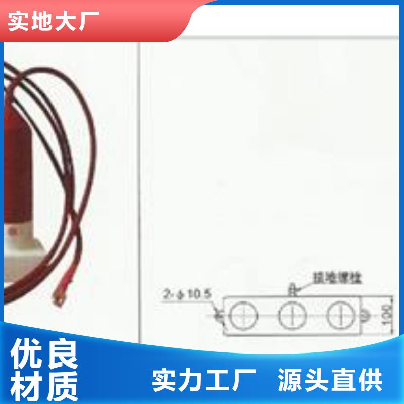 TBP-B-10过电压保护器樊高电气