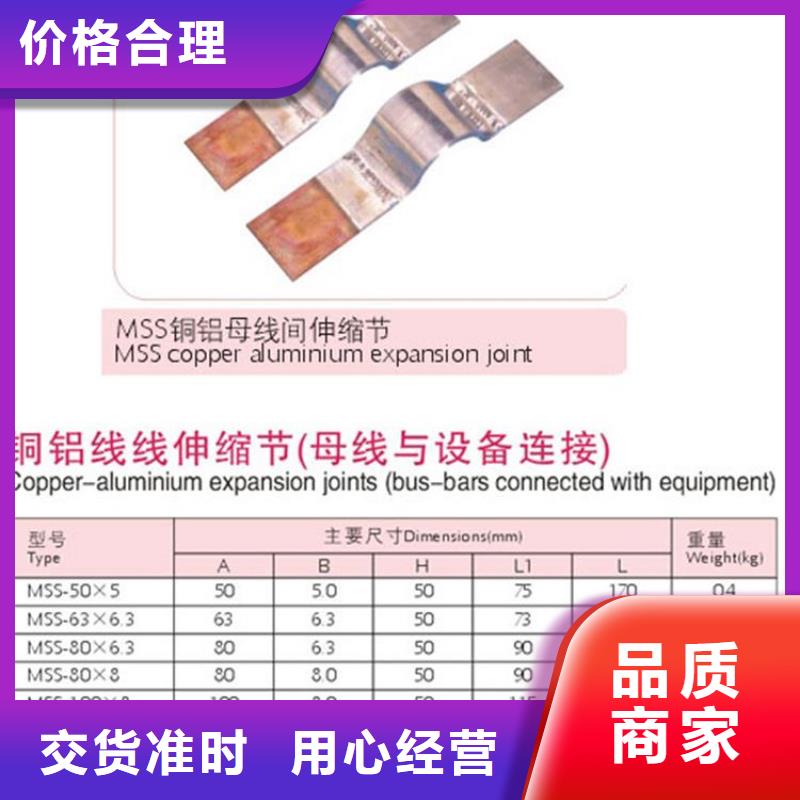 MTS-10*100母線伸縮節(jié)樊高