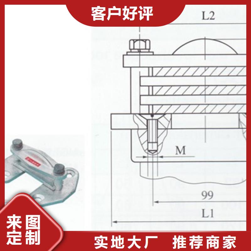 LMY-3*30高压铝母线樊高电气