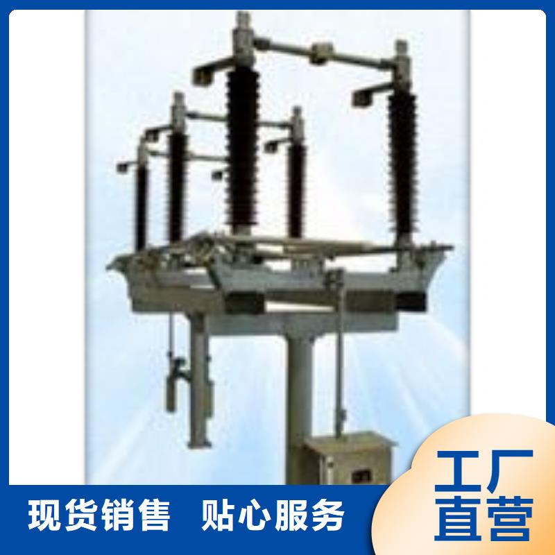 隔離開關-【氧化鋅避雷器生產廠家】安裝簡單