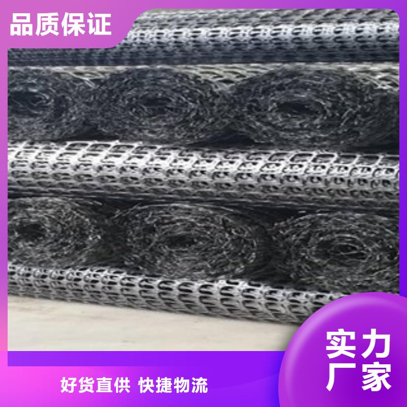 雙向塑料格柵_防裂貼抗裂貼品質保障售后無憂