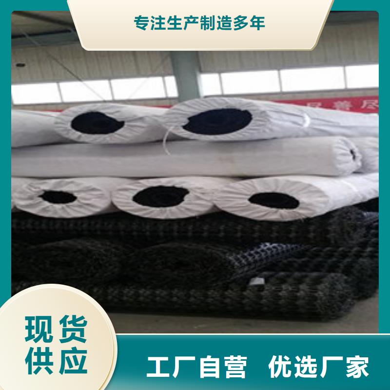 【双向塑料格栅玻纤土工格栅种类多质量好】