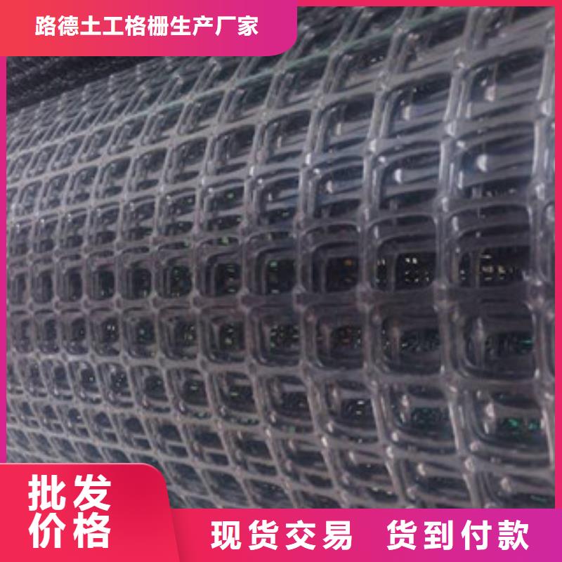 雙向塑料格柵塑料土工格柵規(guī)格齊全